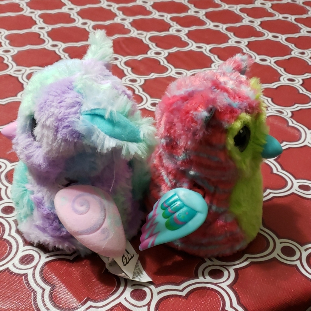 Hatchimals - Picture 4 of 4